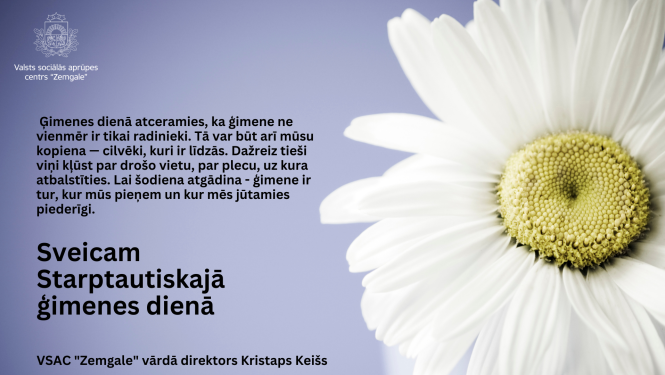 attēlā liela margrietiņa uz maigi zila fona