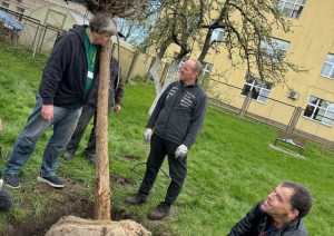 Talkas diena. Tiek sakopta filiāles apkārtne un stādīts koks