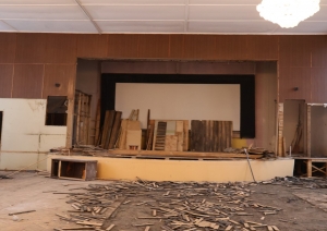 Zāles fotogrāfijas