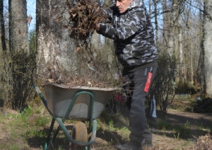 savācam sagrābtās lapas_ruja_iedzīvotāji
