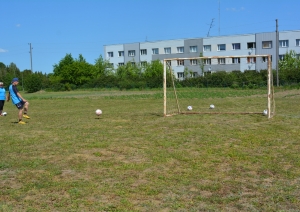 rujas_kauss_ziedklane_1
