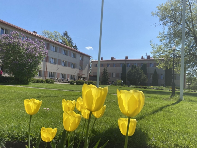 Filiāle "Ziedkalne"