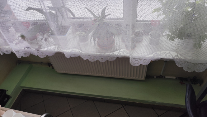 Apmale uz ēdamzāles grīdas ar izlabotu caurumu