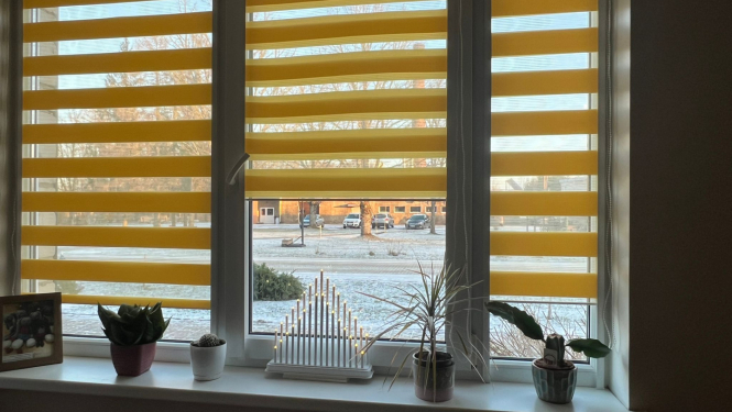 Skats uz logu no telpas iekšpuses. Skaistas, jaunas rullo žalūzijas oranžā krāsā.