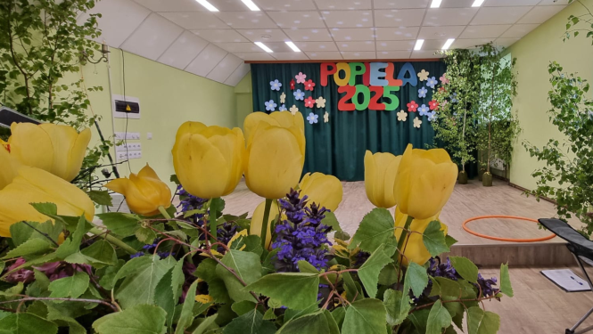 Skats uz skatuvi. Priekšplānā dzeltenas tulpes. Tālumā skatuve ar tumši zaļiem aizkariem, lielo uzrakstu POPIELA 2025 un meijām