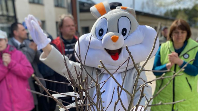 auglu_koku_stadisanas_pasakums