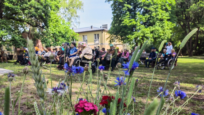 vasaras_saulgriezi_2023