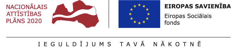 Logo nacionālais attīstības plānts 2020