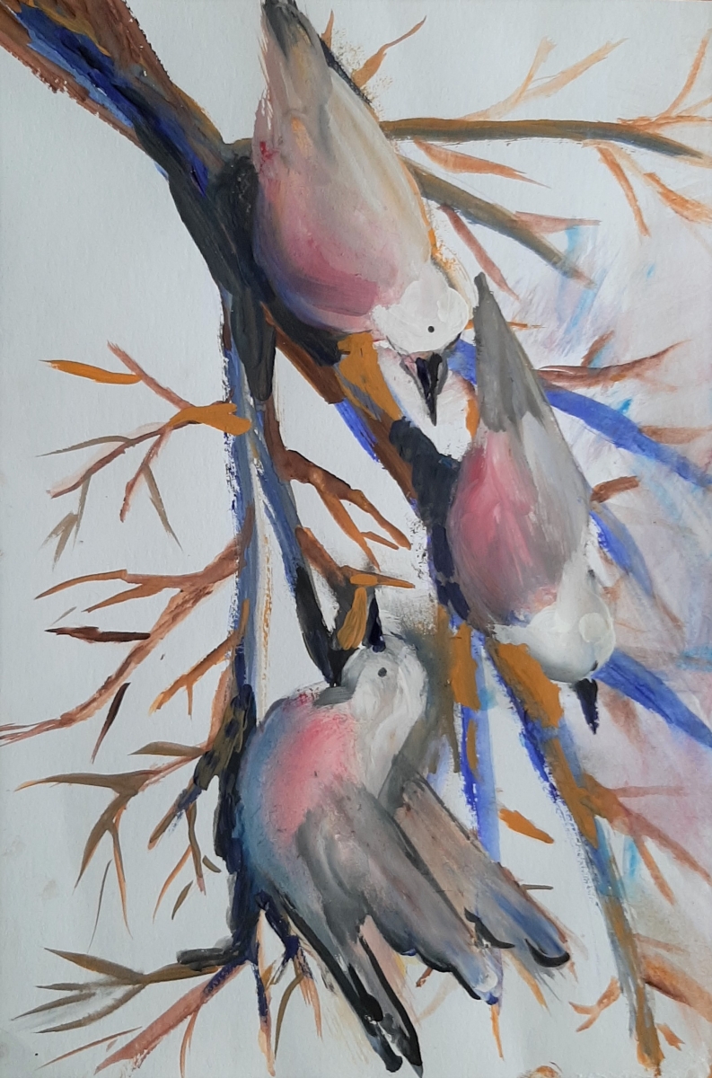 6
