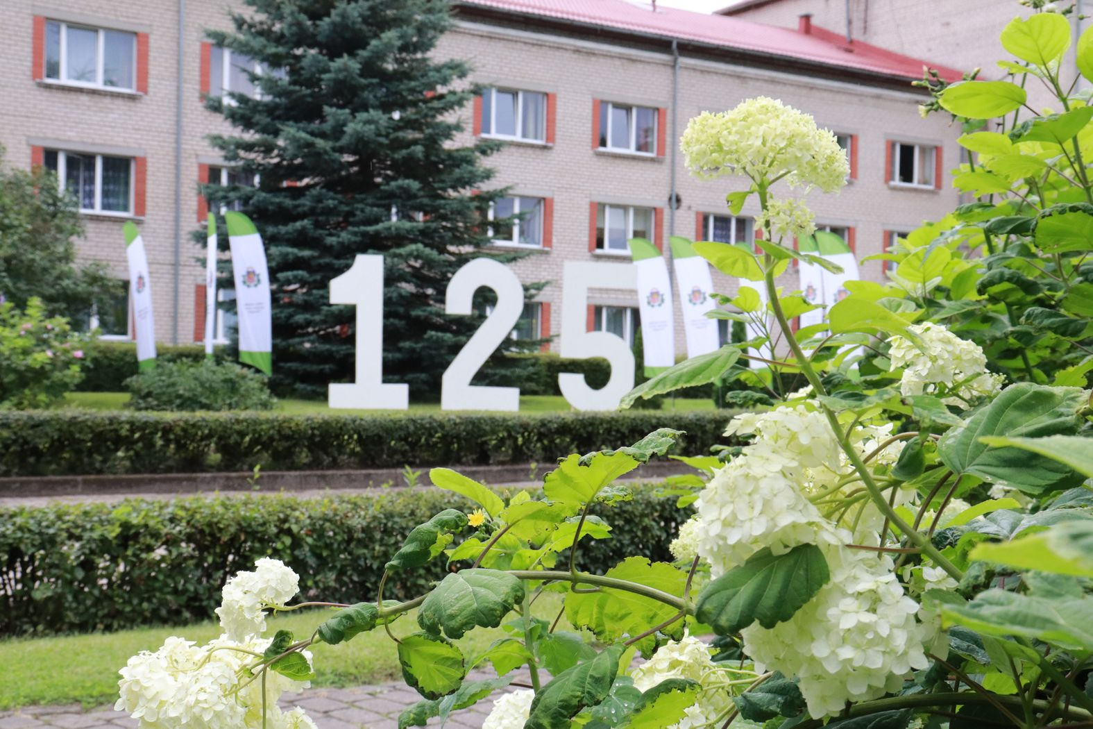 Lielformāta cipari 125