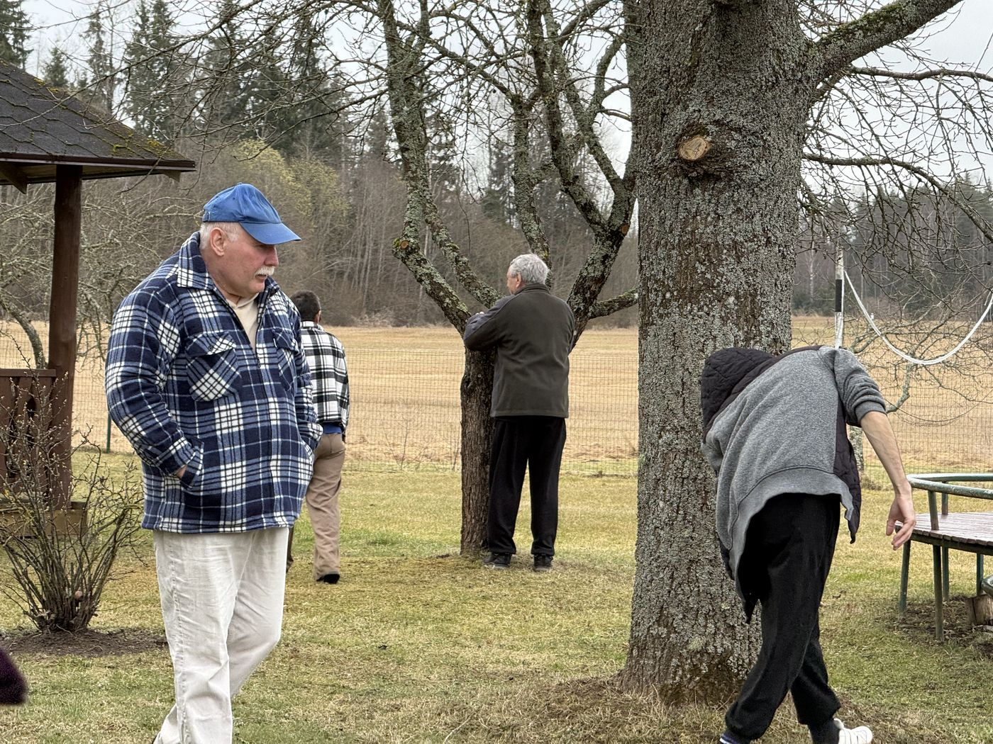 Trīs kungi pagalmā meklē olas