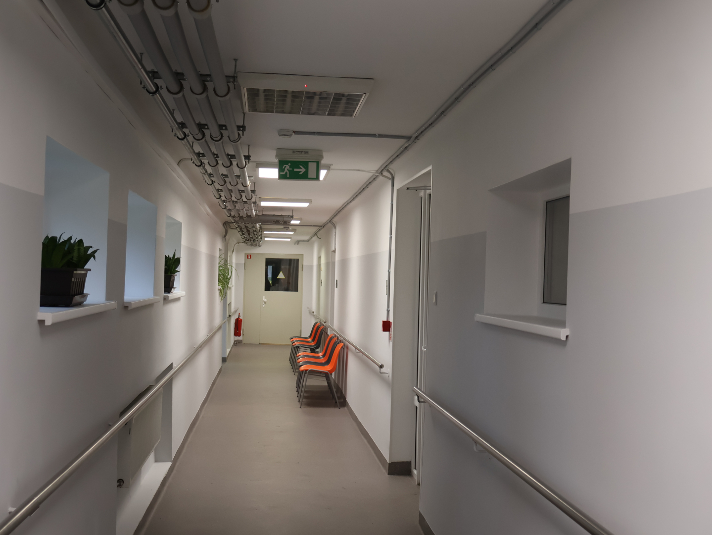 Gaitenis pēc remonta. Gaumīgas pelēkā krāsā sienas, uz palodzēs puķu podi, gaitenī koši oranži krēsli