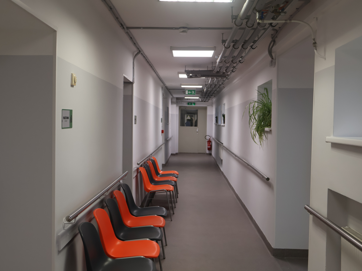 Gaitenis pēc remonta. Gaumīgas pelēkā krāsā sienas, uz palodzēs puķu podi, gaitenī koši oranži un melni krēsli