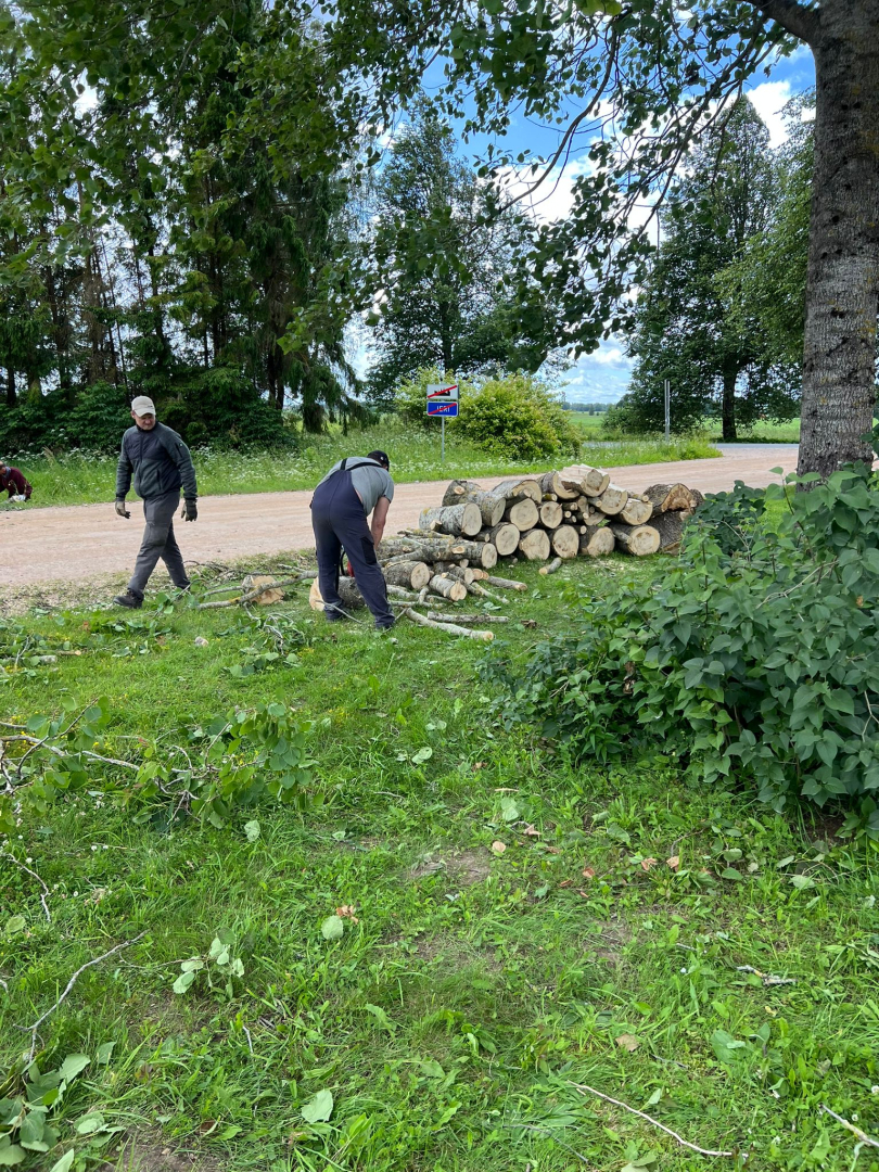 Darbinieki zāģē nokritušos kokus