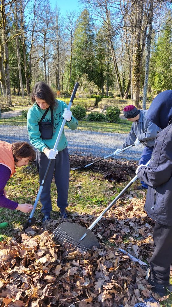 Cilvēki veic teritorijas uzkopšanas darbus. Kasa lapas