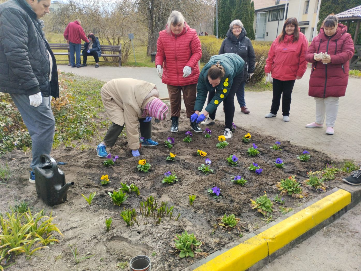 Cilvēki veic teritorijas uzkopšanas darbus. Stāda atraitnītes