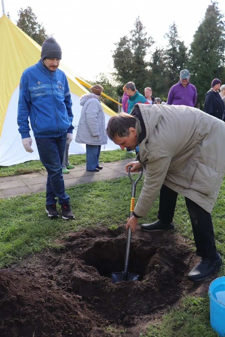 auglu_koku_stadisanas_pasakums_jelgava_24