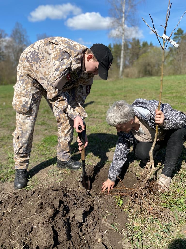 apstadi_latviju_lielberze_koku_stadisana_ar jaunsargiem