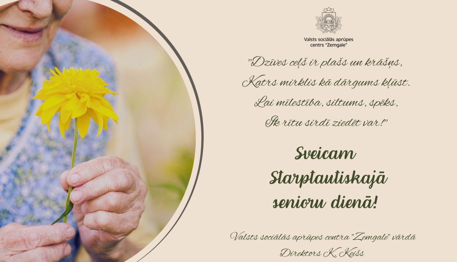 Gaišas krāsas apsveikums Starptautiskajā senioru dienā ar attēlu, kurā kundze cienījamā vecumā tur skaistu dzeltenu ziedu