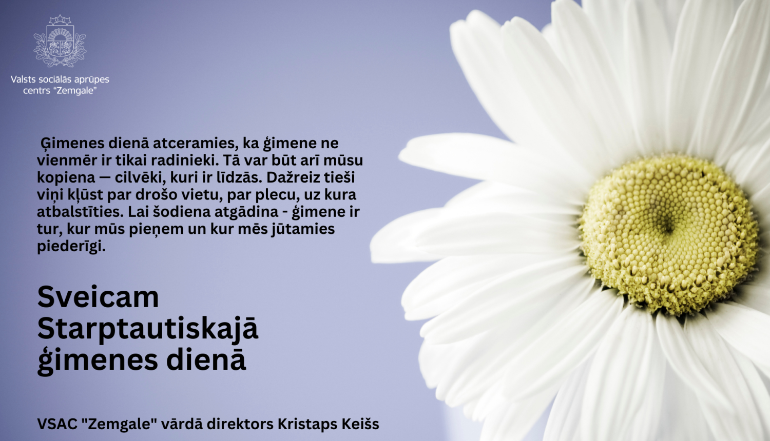 attēlā liela margrietiņa uz maigi zila fona