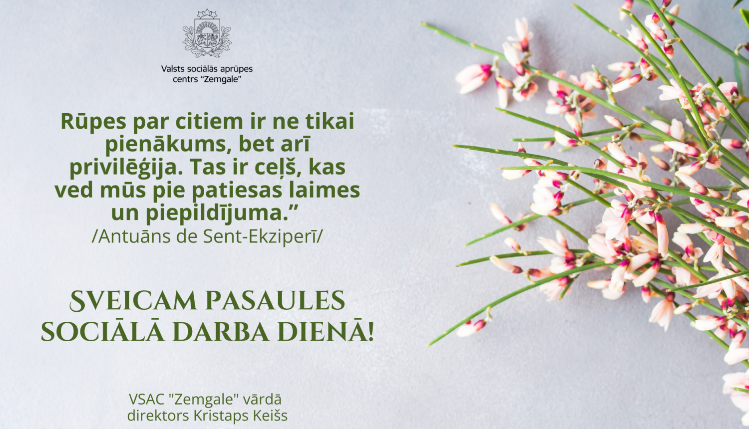 Apsveikums Pasaules sociālā darba dienā. Gaiši pelēks fons, pa labi smalku balti rozā ziedu pušķis zaļajos kātos