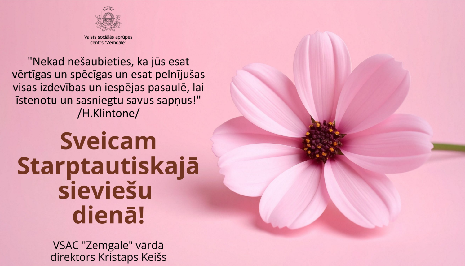 Apsveikums Starptautiskajā sieviešu dienā. Rozā fons, labajā pusē liels, maigas krāsas rozā zieds.