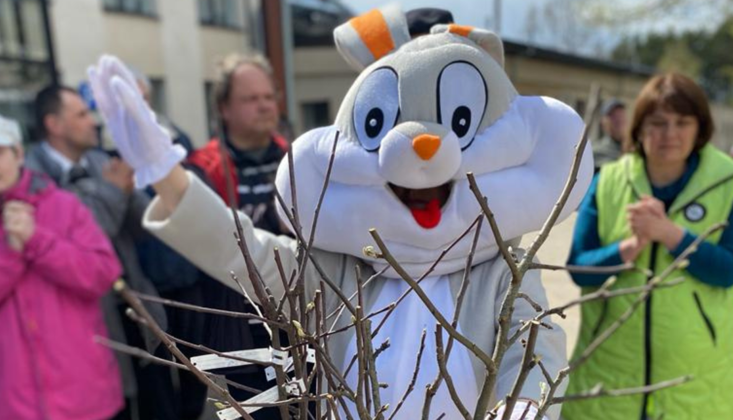 auglu_koku_stadisanas_pasakums