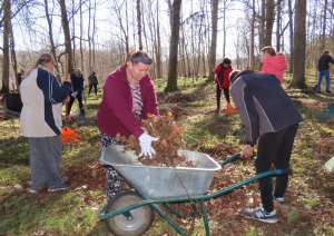 Cilvēki veic teritorijas uzkopšanas darbus
