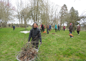 Cilvēki veic teritorijas uzkopšanas darbus