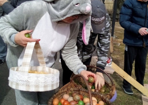 Cilvēks zaķa kostīmā ņem no lielā groza krāsotas olas