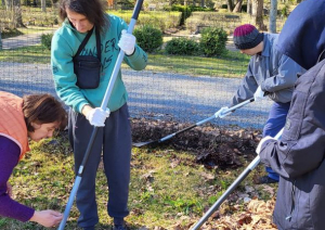 Cilvēki veic teritorijas uzkopšanas darbus. Kasa lapas